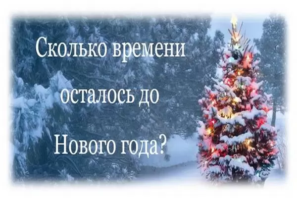 Сколько осталось до 22 декабря. Отсчет до нового года. Сколько осталось до нового. До нового года осталось счетчик.