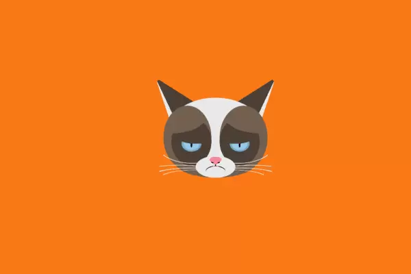 Грустный котик который  моргает с применением html и css