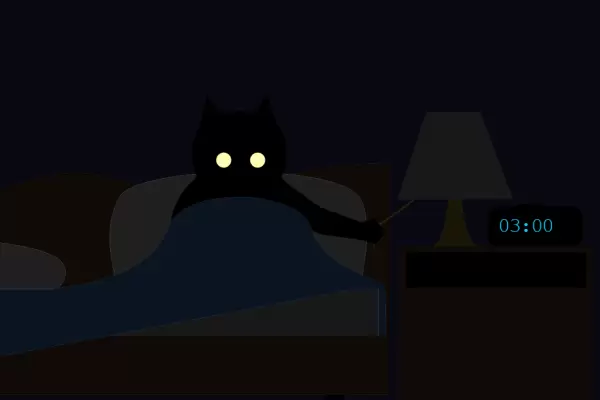 Чёрный кот которому не спится на HTML и CSS