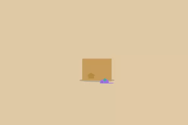 Кот в ящике Шрёдингера на HTML и CSS