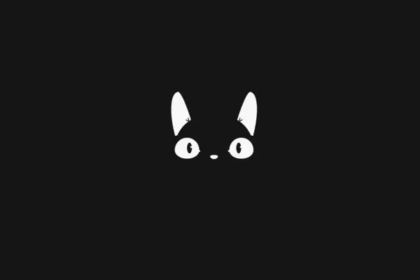 Анимация чёрной кошки в темноте на css и html