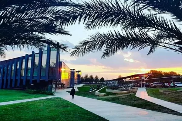 Почему стоит получить высшее образование на Кипре