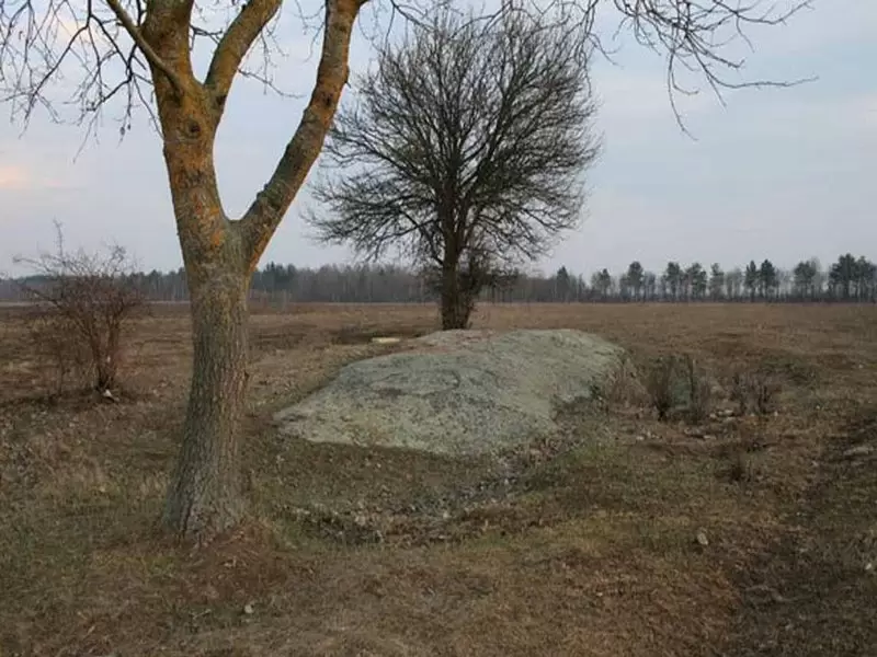Громовище: Мистические тайны и аномалии лесной поляны под Коростенем