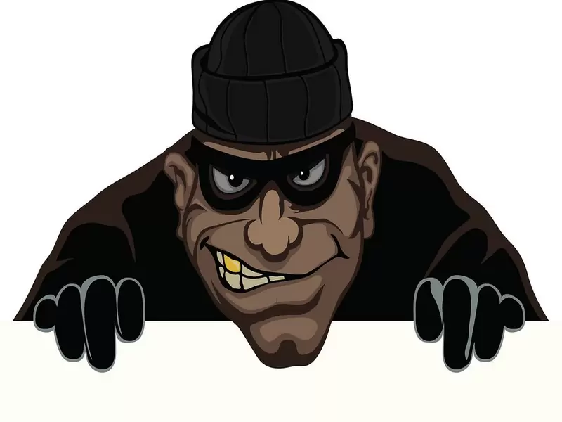 Небольшие истории о самых успешных грабителях