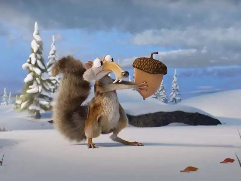 Белкообразные грызуны простыми словами: виды, особенности и образ жизни