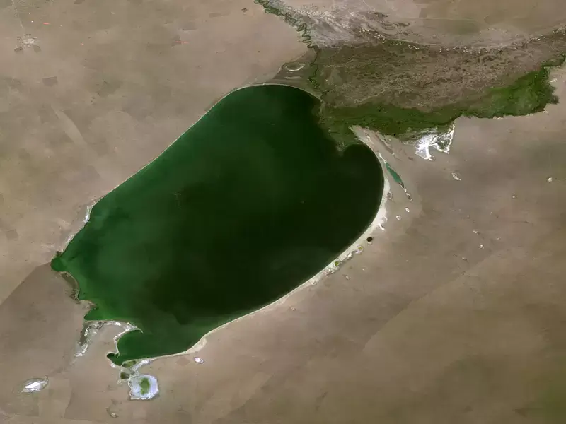 Тайна сокровищ монгольского вана